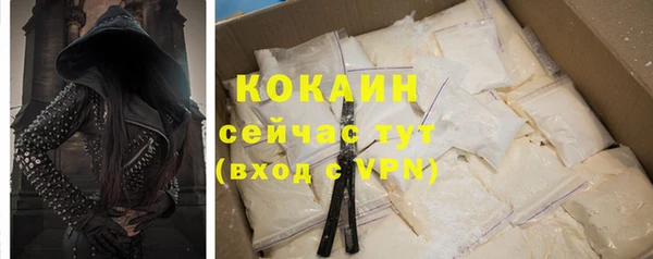 твердый Абаза