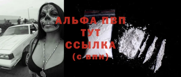 твердый Абаза