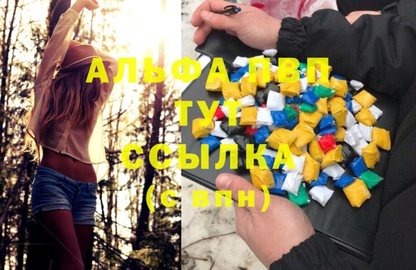 твердый Абаза