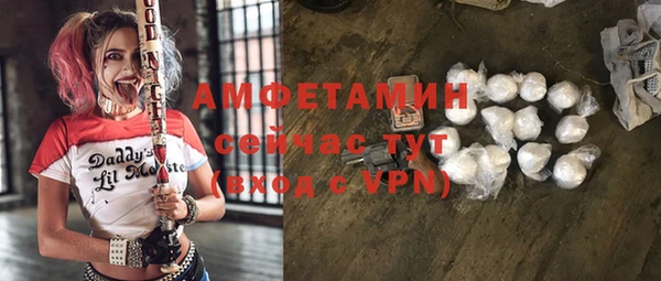 твердый Абаза
